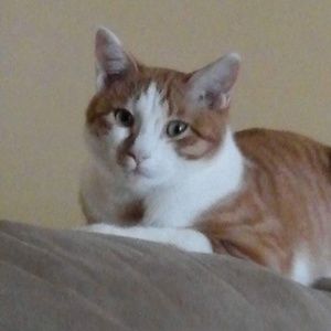 Meet your Posher, Danny